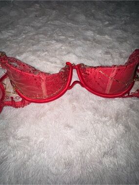 Honey Birdette Red Lace Underwire Balconette Bra with Gold Chain Accents